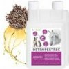 Dromy Ostropestřcový olej pro koně 3000 ml Dromy Ostropestřcový olej pro koně 3000 ml