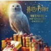 DC Comics Harry Potter: Hedwig Pop-up Advent Calendar DC Comics Harry Potter: Hedwig Pop-up Advent Calendar
