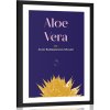 Plagát s paspartou a nápisom Aloe Vera Plagát s paspartou a nápisom Aloe Vera