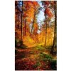 DIMEX | Vliesové fototapety na stenu Prechádzka lesom MS-2-0065 | 150 x 250 cm | oranžová, zelená + Vliesová fototapeta na stenu DIMEX Prechádzka lesom MS20065 v rozmere 375 x 250 cm DIMEX | Vliesové fototapety na stenu Prechádzka lesom MS-2-0065 | 150 x 250 cm | oranžová, zelená + Vliesová fototapeta na stenu DIMEX Prechádzka lesom MS20065 v rozmere 375 x 250 cm