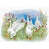 Diamantové maľovanie Diamondi - HUSY NA FARME, 40x50 cm, bez rámu a bez vypnutia plátna (606556A) Diamantové maľovanie Diamondi - HUSY NA FARME, 40x50 cm, bez rámu a bez vypnutia plátna (606556A)