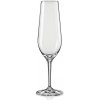 Bohemia Crystal poháre na šampanské Amoroso 2 x 200 ml