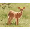 ZUTY Maľovanie podľa čísel - POHĽAD SRNA V TRÁVE (D. RUSTY RUST) Rámovanie: vypnuté plátno na rám, Rozmer: 40x50 cm ZUTY Maľovanie podľa čísel - POHĽAD SRNA V TRÁVE (D. RUSTY RUST) Rámovanie: vypnuté plátno na rám, Rozmer: 40x50 cm
