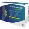 Medoselect Cartilamine Chondro 60 kapsúl