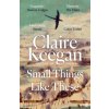 Small Things Like These (Claire Keegan)(Brožovaná) Small Things Like These (Claire Keegan)(Brožovaná)