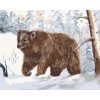 ZUTY Maľovanie podľa čísel MEDVEĎ V ZASNEŽENOM LESE Rámovanie vypnuté plátno na rám Rozmer 80 x 100 cm