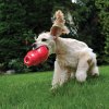 KONG Bounzer stlačiteľný granát L 20,3 cm KONG Bounzer stlačiteľný granát L 20,3 cm
