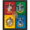 Pyramid International 3D obraz Harry Potter farebný Pyramid International 3D obraz Harry Potter farebný