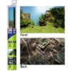 Juwel pozadie Poster 1 S Plant / Reef 60 x 30 cm Juwel pozadie Poster 1 S Plant / Reef 60 x 30 cm