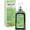 WELEDA Březový olej na celulitidu 100ml WELEDA Březový olej na celulitidu 100ml
