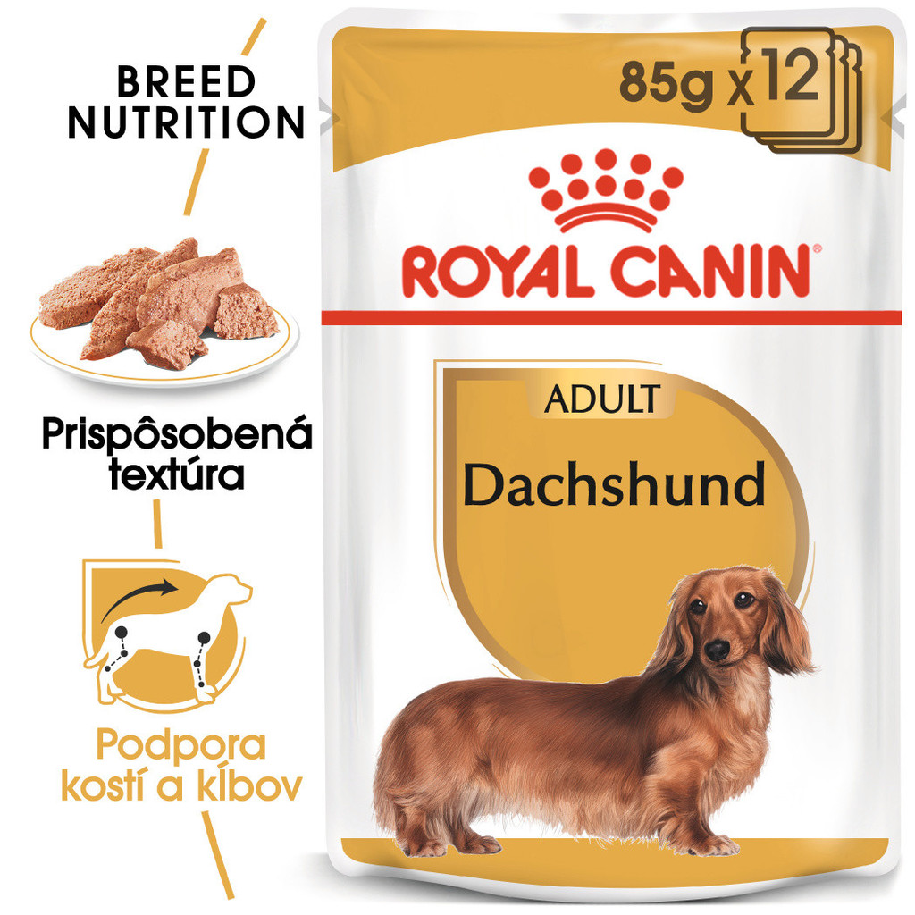Royal Canin Dachshund kapsička 12 x 85 g