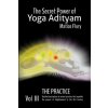 The Secret Power Of Yoga Adityam Vol 3 The Practice: Mudras and Pranayam