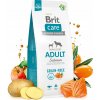 Brit Care Grain-Free Adult Salmon Bezobilné krmivo s lososom pre dospelých psov 12kg Brit Care Grain-Free Adult Salmon Bezobilné krmivo s lososom pre dospelých psov 12kg