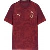 Dres Puma Galatasaray Istanbul Training Jersey Kids 2025/26 782885-03 Veľkosť 164 Dres Puma Galatasaray Istanbul Training Jersey Kids 2025/26 782885-03 Veľkosť 164