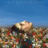LP The Pineapple Thief: Magnolia LP The Pineapple Thief: Magnolia