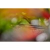 GARDENA Systém Micro-Drip 13212-20 GARDENA Systém Micro-Drip 13212-20