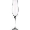 Crystalite Bohemia poháre na šampanské Limosa 6 x 200 ml Crystalite Bohemia poháre na šampanské Limosa 6 x 200 ml