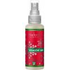 Saloos Natur aróma Airspray - Vianočný sen 50 ml Saloos Natur aróma Airspray - Vianočný sen 50 ml