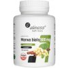 Aliness Moruša biela 4:1 so škoricou a chrómom - 180 tabliet Aliness Moruša biela 4:1 so škoricou a chrómom - 180 tabliet