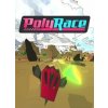 ESD GAMES ESD PolyRace ESD GAMES ESD PolyRace