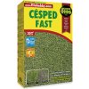 Fitó Semillas Športová dosevová trávna zmes FAST Hmotnosť: 25 kg Fitó Semillas Športová dosevová trávna zmes FAST Hmotnosť: 25 kg