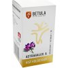 BETULA Astragalus a kozie kolostrum 60 kapsúl 21 g BETULA Astragalus a kozie kolostrum 60 kapsúl 21 g