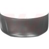 Kapota motora VAN WEZEL 5790660