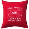 What exactly didnt you understand - Math - Vankúš 50x50 - 50x50 - Vrátane výplne ( Červená ) What exactly didnt you understand - Math - Vankúš 50x50 - 50x50 - Vrátane výplne ( Červená )