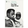 The Fire Next Time - James Baldwin, Penguin Books Ltd The Fire Next Time - James Baldwin, Penguin Books Ltd