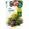 Admit Tea Lights Pine 6 ks Admit Tea Lights Pine 6 ks