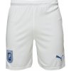 Pánske futbalové šortky Puma, UCV SHORTS biela,modrá S Pánske futbalové šortky Puma, UCV SHORTS biela,modrá S