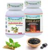 Planet Ayurveda Inkontinencia - ajurvéda na únik moču Planet Ayurveda Inkontinencia - ajurvéda na únik moču