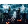 VINYLOVÉ FOTOGRAFICKÉ POZADIE 2,1x1,5m HALLOWEEN CINTORÍN TEKVICE DUCHOVIA VINYLOVÉ FOTOGRAFICKÉ POZADIE 2,1x1,5m HALLOWEEN CINTORÍN TEKVICE DUCHOVIA