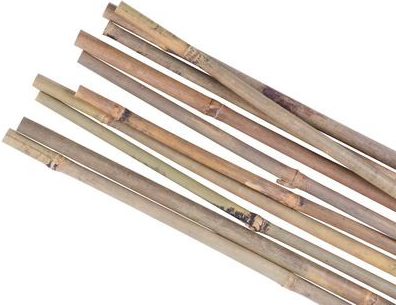 Tyč Garden KBT 1800/12-14 mm, bal. 10 ks, bambus, oporná k rastlinám