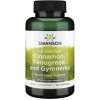 Swanson Full Spectrum Cinnamon, Fenugreek and Gymnema (škorica, senovka grécka, gymnema), 120 kapsúl Výživový doplnok Swanson Full Spectrum Cinnamon, Fenugreek and Gymnema (škorica, senovka grécka, gymnema), 120 kapsúl Výživový doplnok