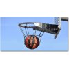 Foto obraz akrylový na stenu Basketbal 100x50 cm Foto obraz akrylový na stenu Basketbal 100x50 cm