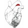 Vinyl Swans - SWANS - BEGGAR Vinyl Swans - SWANS - BEGGAR
