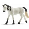 Figúrka Schleich Kobyla arabská 13908 (4059433027883) Figúrka Schleich Kobyla arabská 13908 (4059433027883)