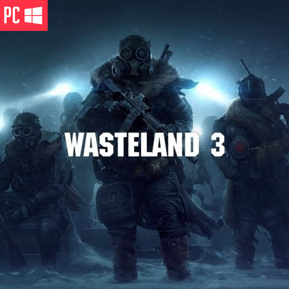 Wasteland 3