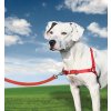 PetSafe Postroj EasyWalk , červený M Farba: červené PetSafe Postroj EasyWalk , červený M Farba: červené