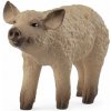 Schleich Prasiatko mangalica 14893 4059433762234 Schleich Prasiatko mangalica 14893 4059433762234