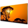 Nástenný panel Strom slnko príroda 100x50 cm Nástenný panel Strom slnko príroda 100x50 cm