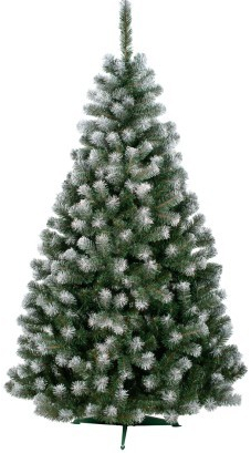Sammer Vysoký vianočný stromček s bielymi končekmi 220 cm Beata Jedla Beata 220 cm
