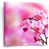 Sablio Obraz Kvety orchidey - 50x50 cm Sablio Obraz Kvety orchidey - 50x50 cm