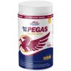VITAR Veterinae Artivit PEGAS MSM sypká zmes 720 g VITAR Veterinae Artivit PEGAS MSM sypká zmes 720 g
