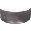 Kapota motora VAN WEZEL 5790660