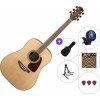 Takamine GD93 Set 2