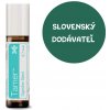 doTERRA Tamer Digestive Blend - esenciálny olej podpory trávenia pre deti 10 ml doTERRA Tamer Digestive Blend - esenciálny olej podpory trávenia pre deti 10 ml