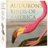 Audubon's Birds of America (ROGER TORY PETERSON/)(Pevná) Audubon's Birds of America (ROGER TORY PETERSON/)(Pevná)