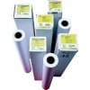 HP Heavyweight Coated Paper - role 42˝ (C6569C)